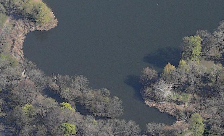 the lake: lake - west island